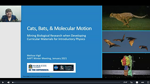 lecture cover
